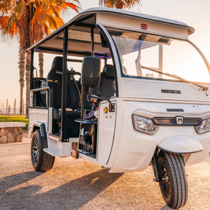 White open-sided auto rickshaw parked under palm trees at sunset.