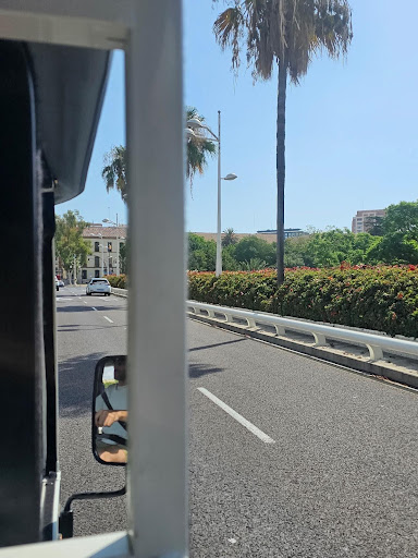 Vista desde el interior de un tuk-tuk recorriendo las calles arboladas de Valencia con el conductor reflejado en el espejo retroviso